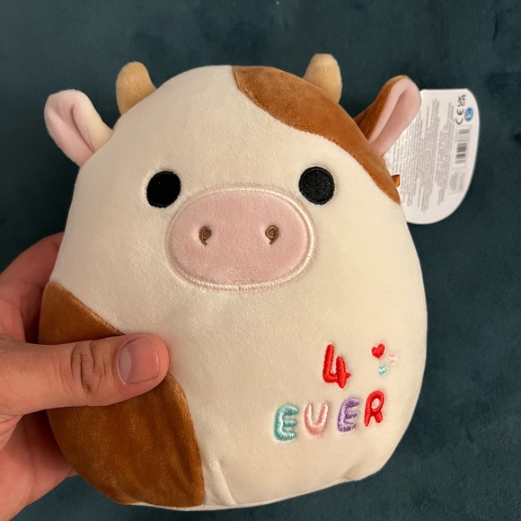 Squishmallows Other - NWT 7.5” Ronnie best friends Squishmallow